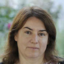 molnarn-urbanik-timea-240x240