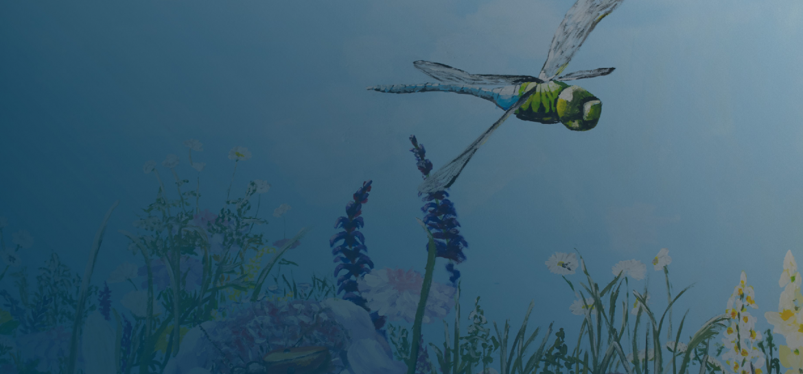 Web_Cover_Half_New_Design-17