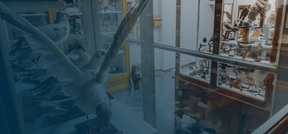 Web_Cover_Half_New_Design-19