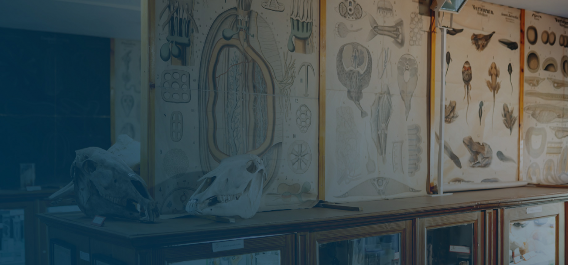 Web_Cover_Half_New_Design-20